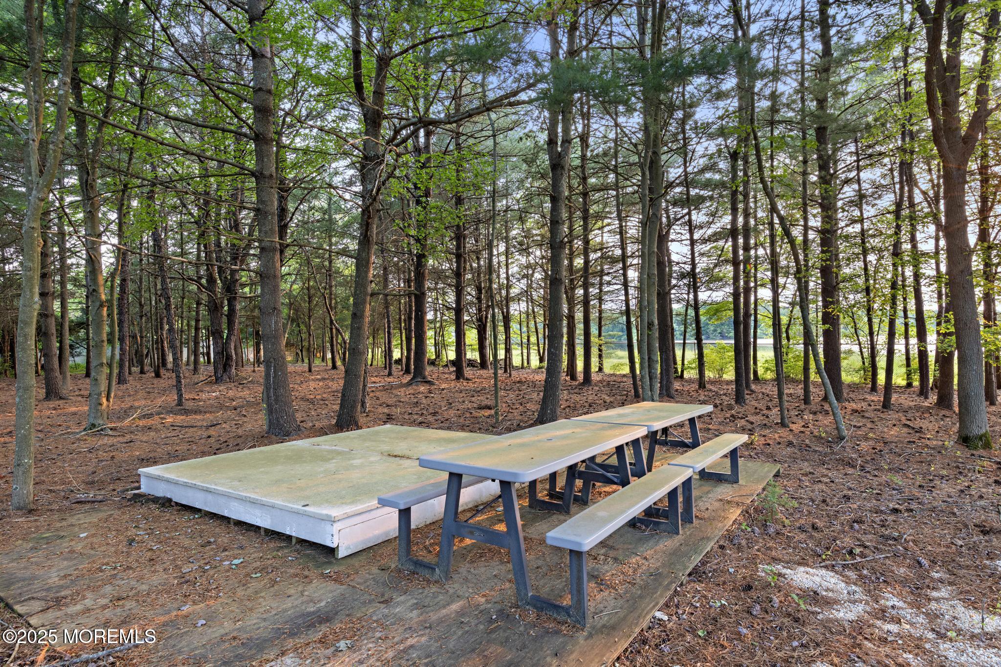 1413 Gully Road Wall, NJ 07719 - Photo 73 of 82 Into the Woods!