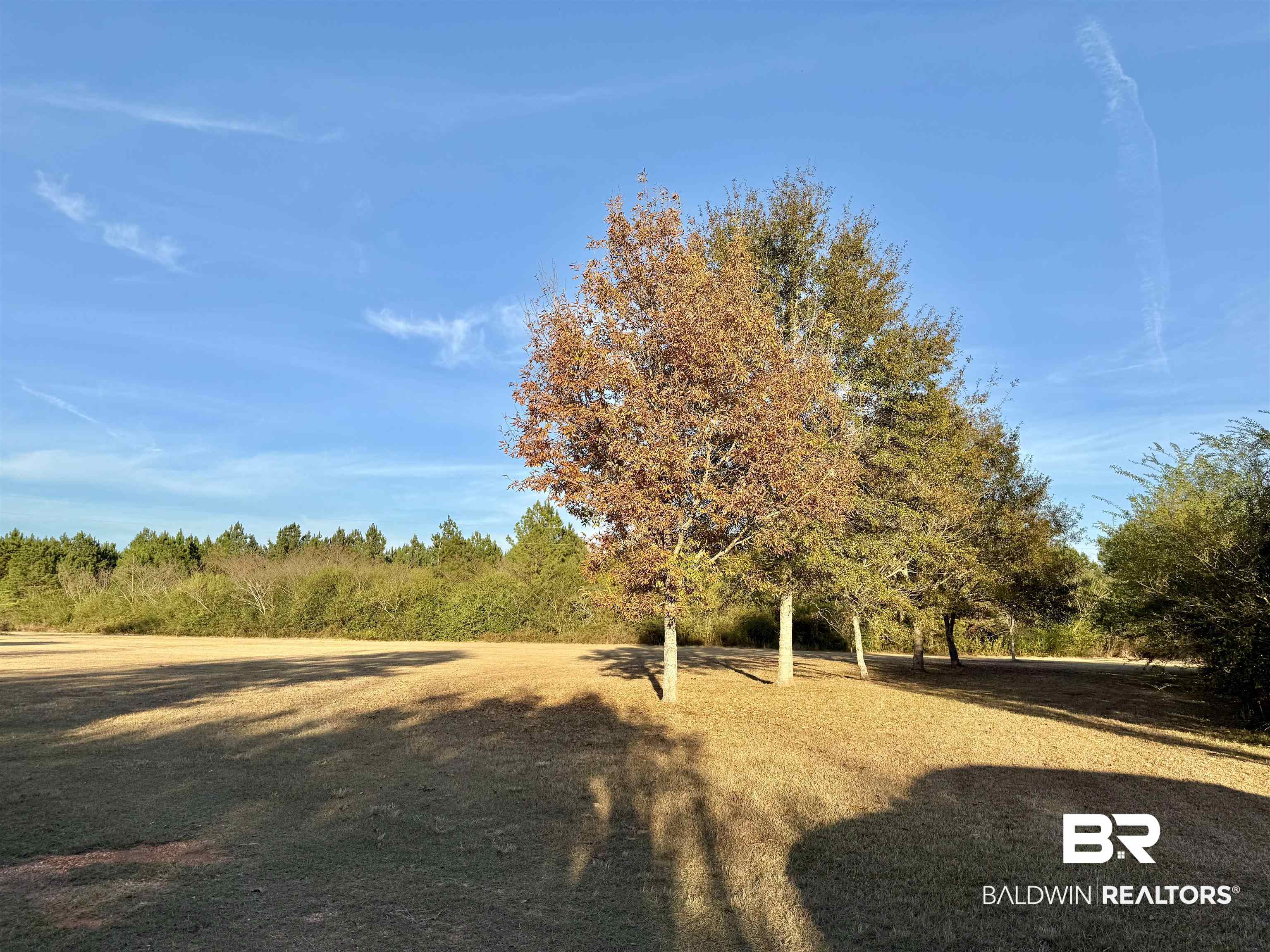 8028 Upper Creek Road Brewton, AL 36426 - Photo 19 of 27