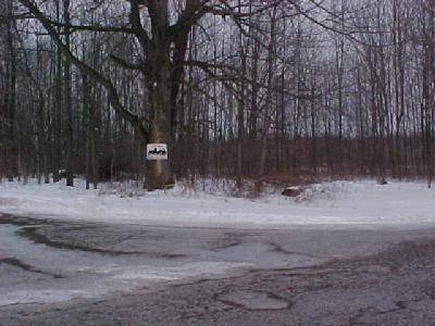 Reichart Road Colon, MI 49040 - Photo 1 of 4 Primary Photo