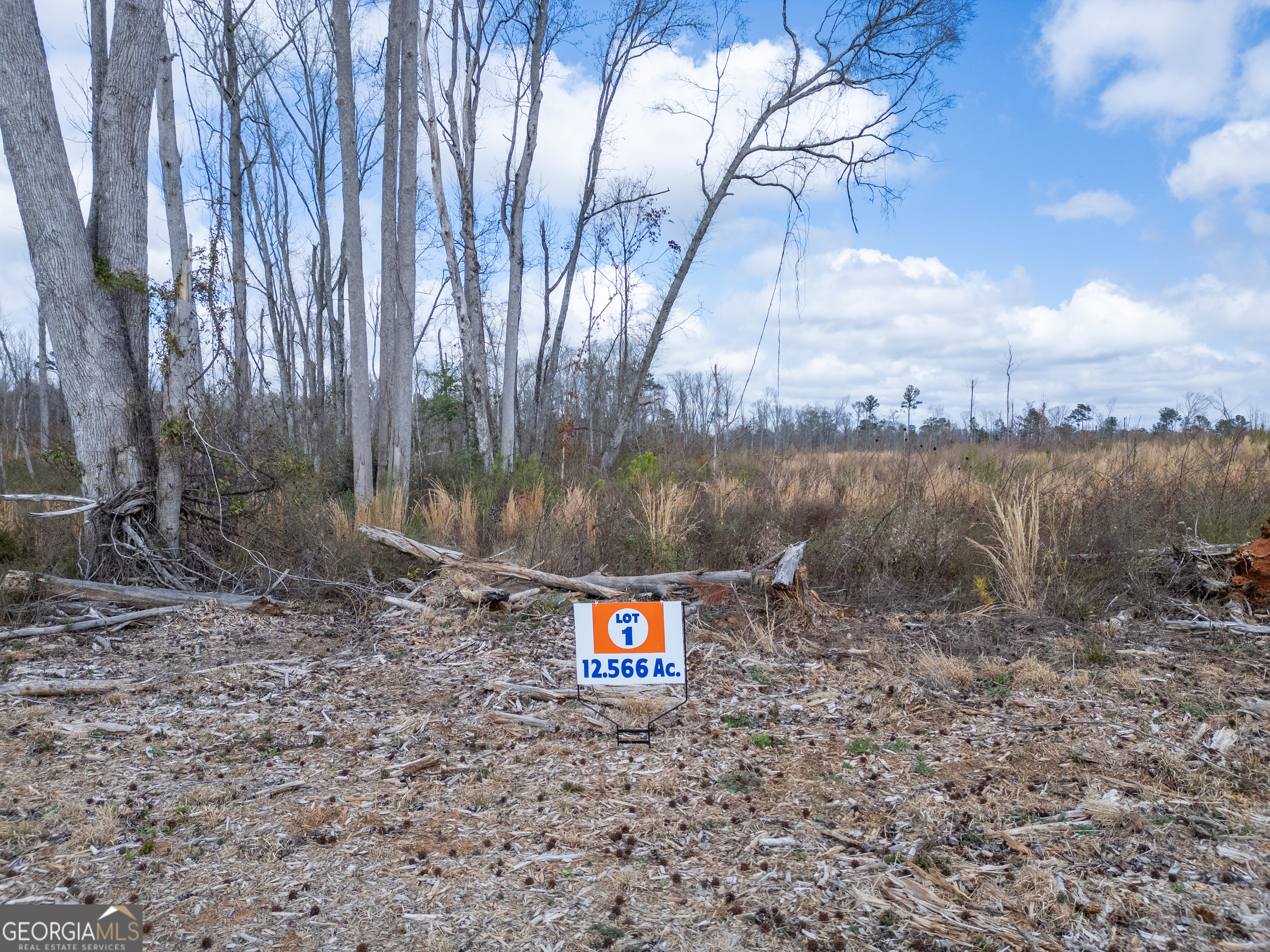 Lot 1 Haley Road Jackson, GA 30233 - Photo 1 of 4