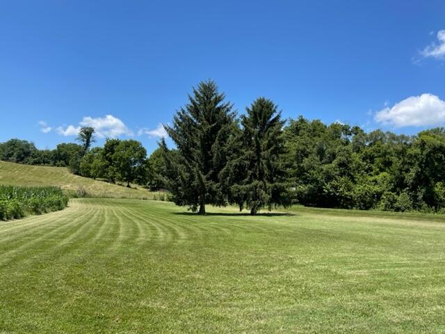 4179 Upper Valley Pike Springfield, OH 45502 - Photo 57 of 62