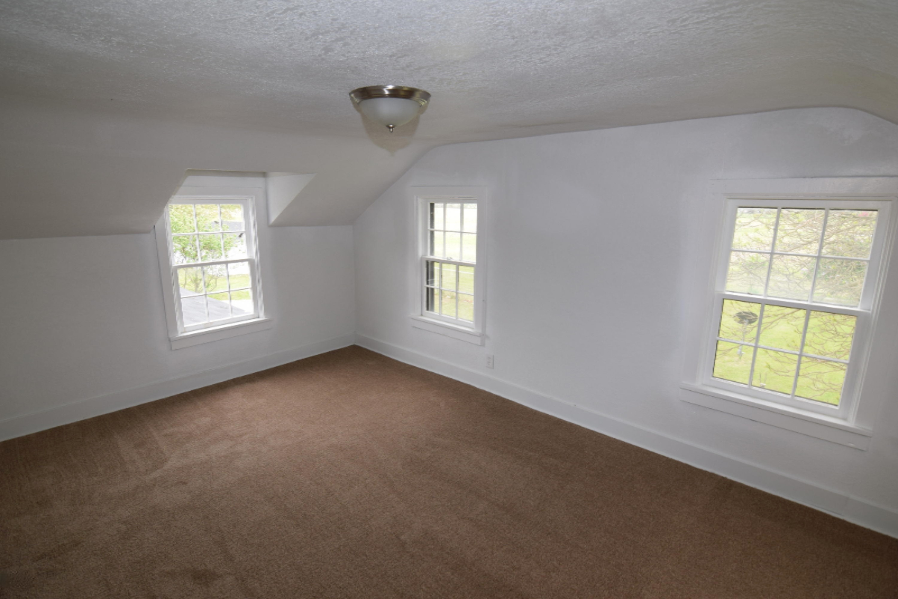 257 North Briggs Road Quincy, MI 49082 - Photo 19 of 36 DSC_0718