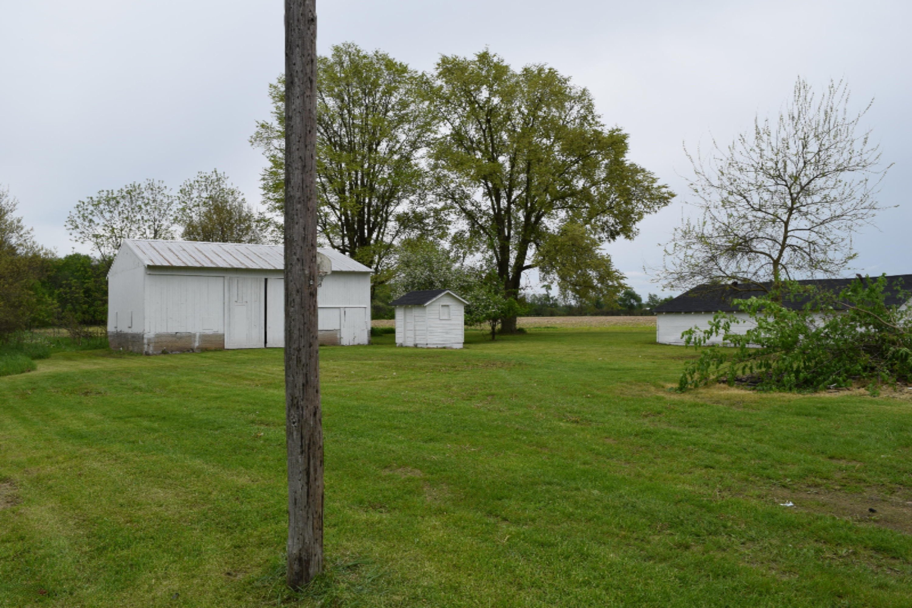 257 North Briggs Road Quincy, MI 49082 - Photo 33 of 36 DSC_0733