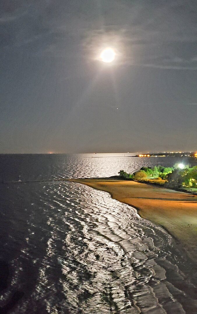 5901 North Sheridan Road, Unit 16C Chicago, IL 60660 - Photo 28 of 28 a view of an ocean and beach