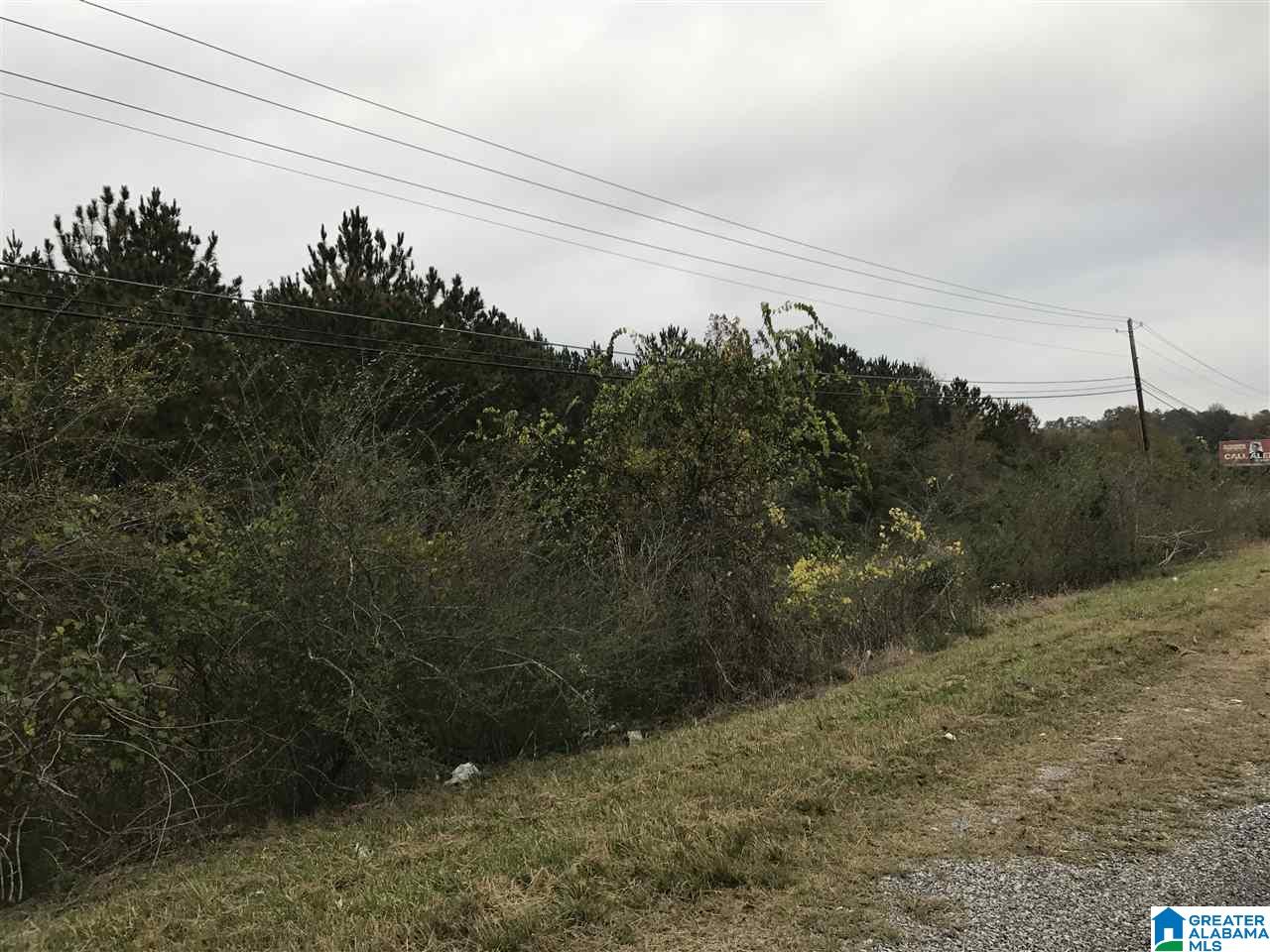 0 Highway 78, Unit ACREAGE Riverside, AL 35135 - Photo 2 of 6
