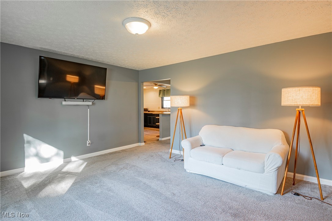3365 Yost Road Litchfield, OH 44253 - Photo 18 of 45 Gallery Image 18