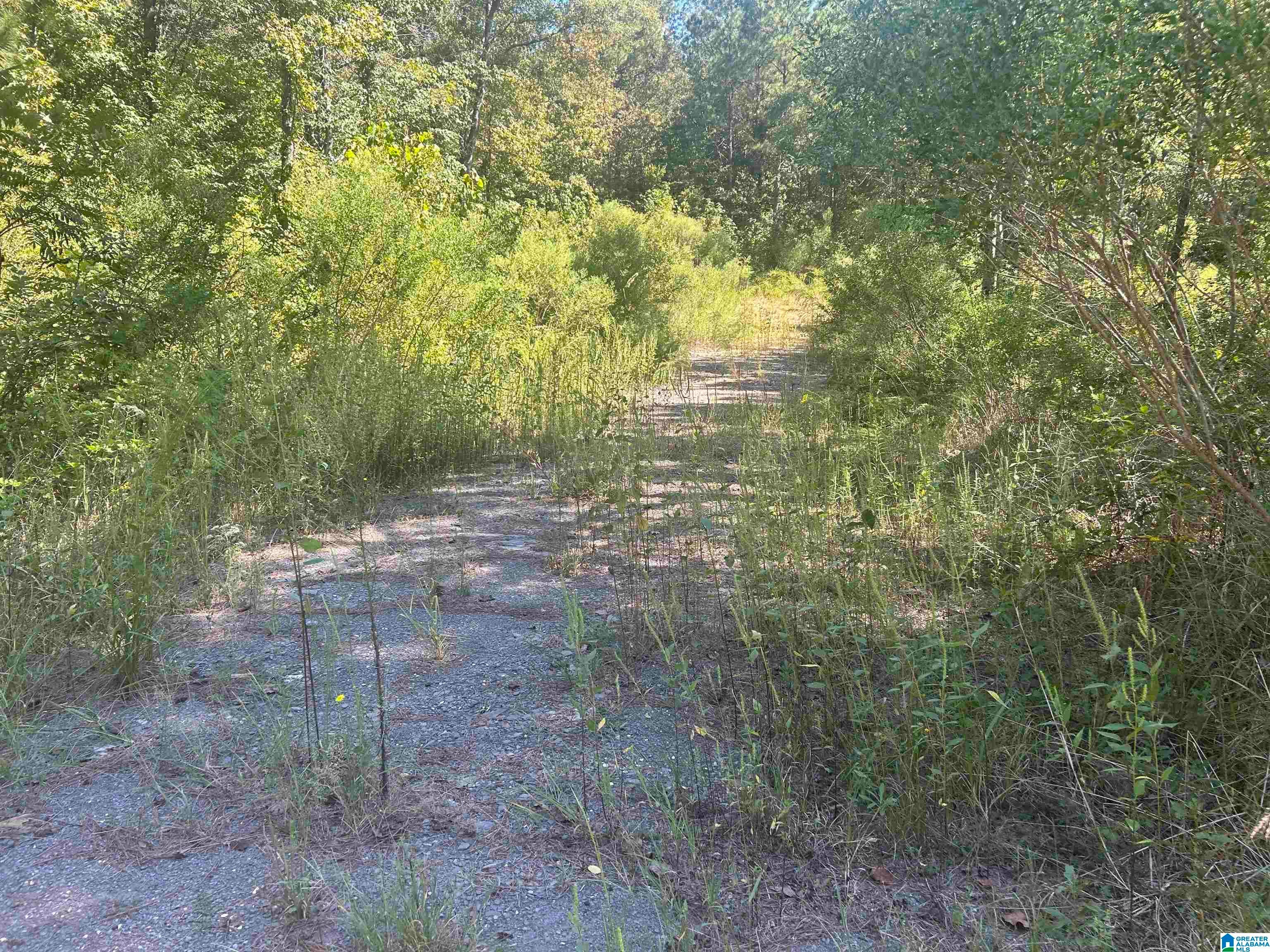 Lot 4 Mill Creek Road, Unit 4 Townley, AL 35587 - Photo 5 of 9 Gallery Image 5