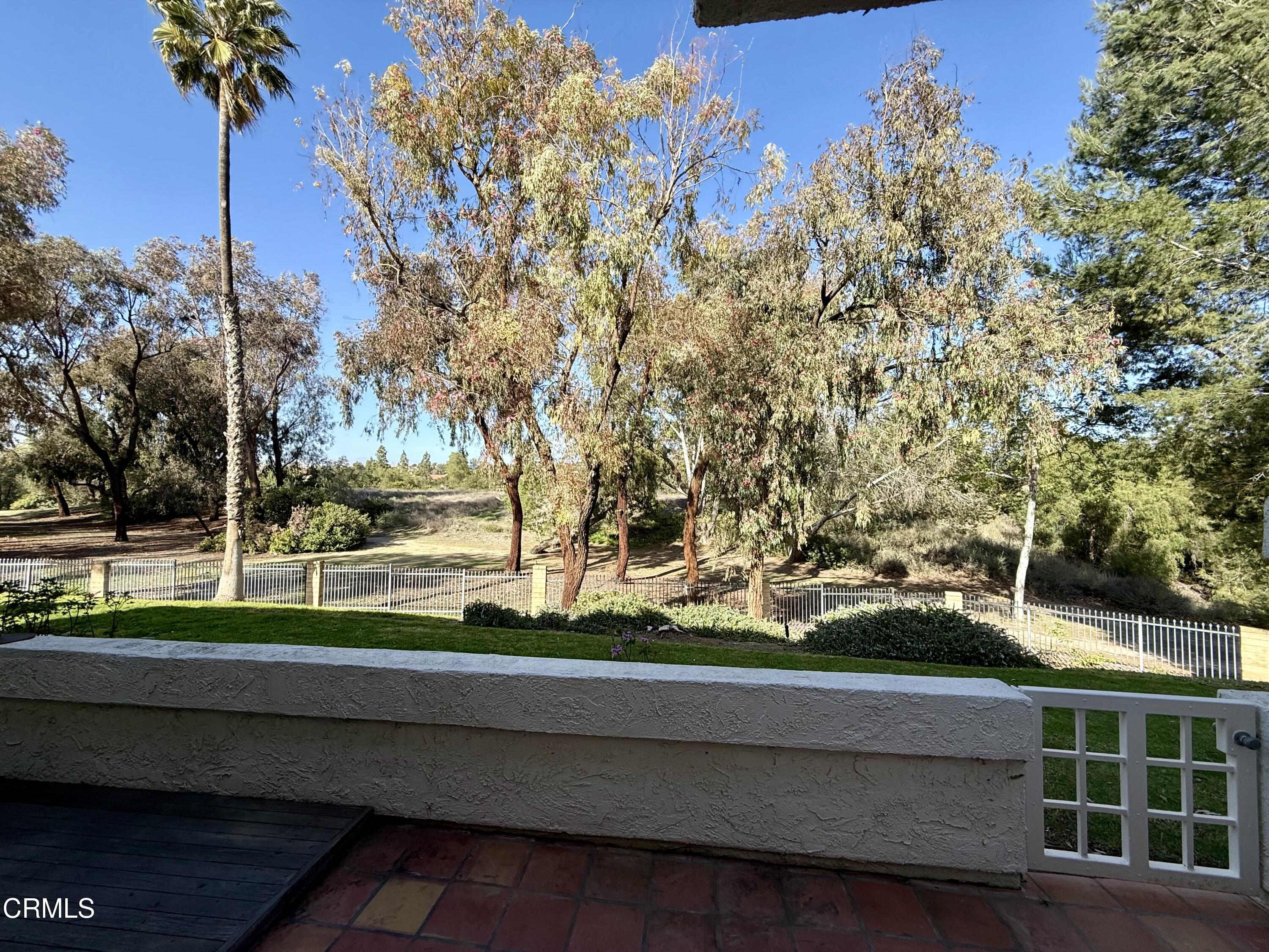 1213 Calle Lozano Camarillo, CA 93012 - Photo 24 of 29 a view of a yard with a tree