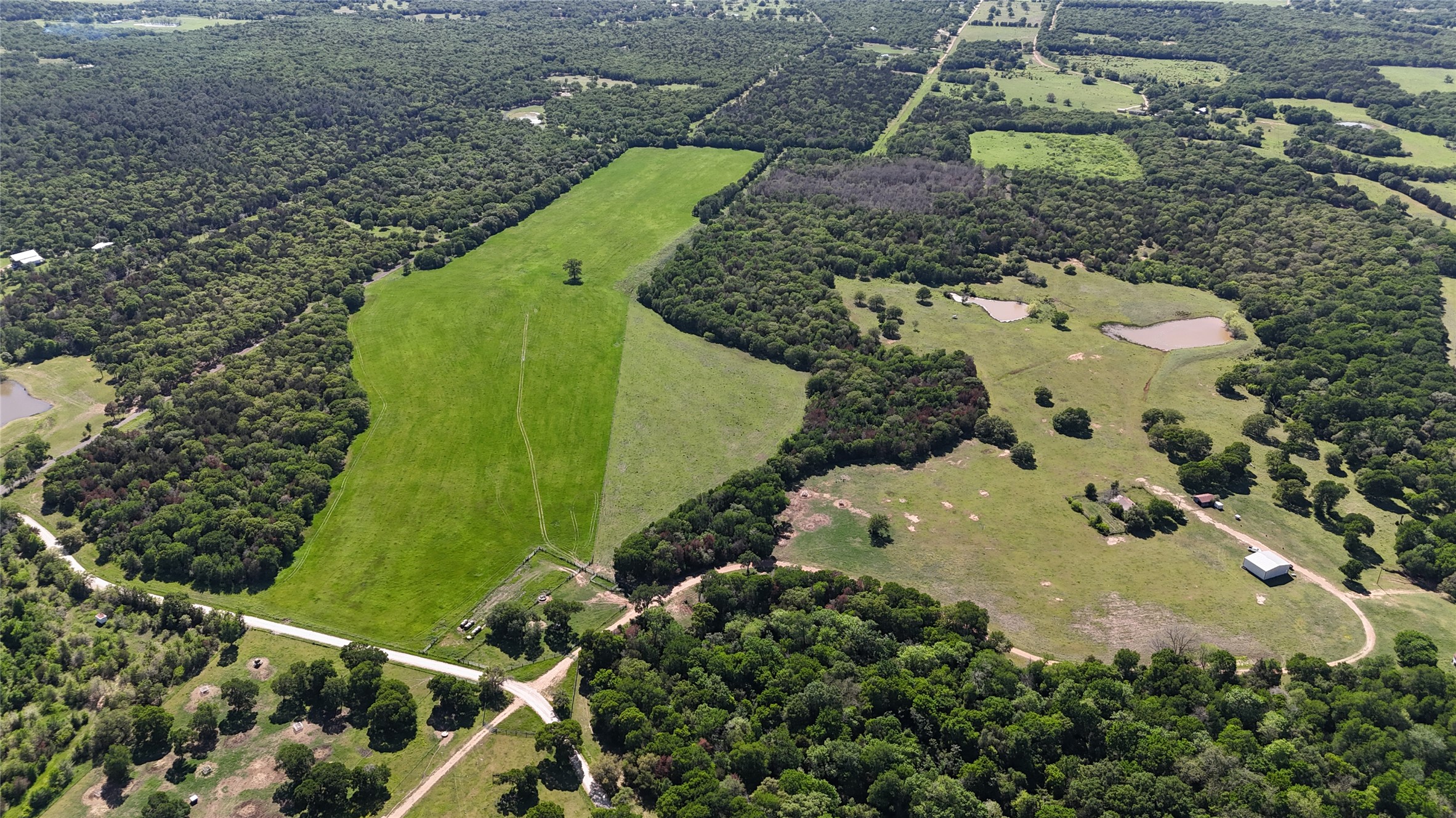 Tbd Tbd Street Paige, TX 78659 - Photo 11 of 12 a view of a garden