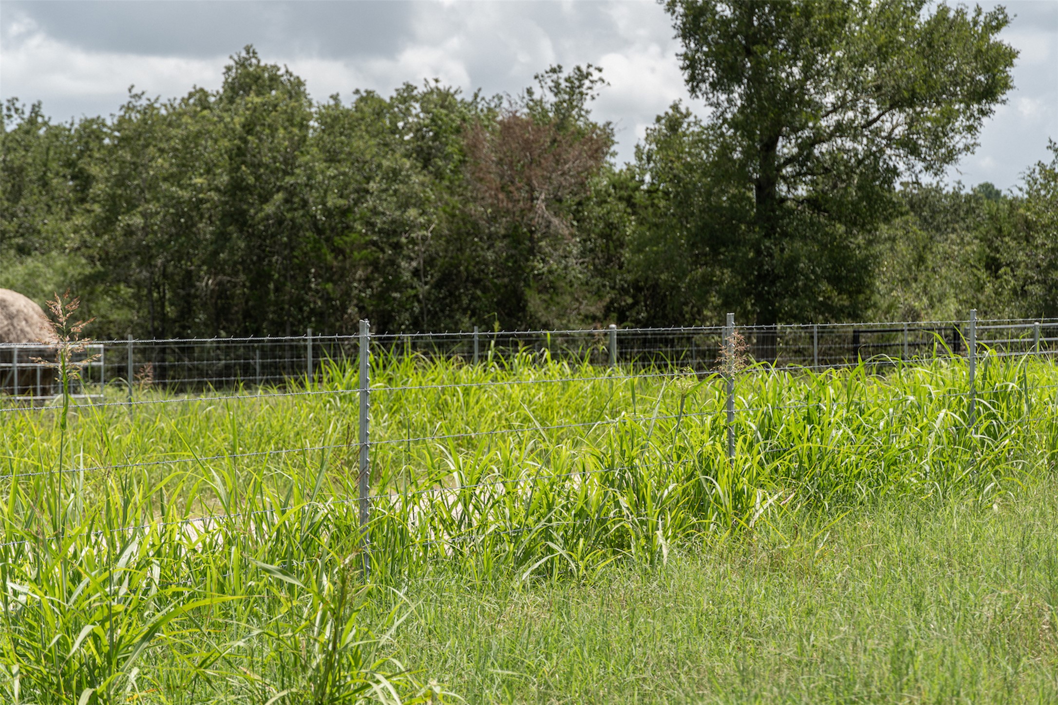 Tbd Tbd Street Paige, TX 78659 - Photo 5 of 12 a view of a garden
