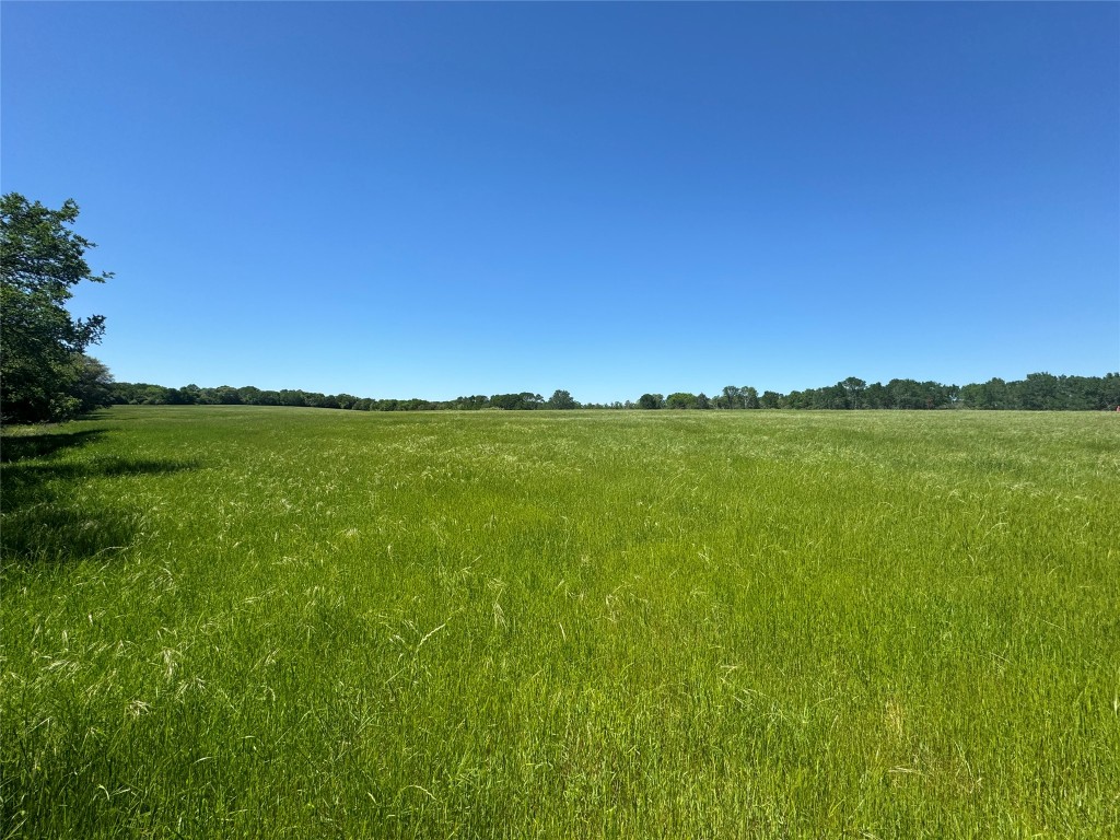 Tbd Tbd Street Paige, TX 78659 - Photo 7 of 12 View of local wilderness with rural landscape
