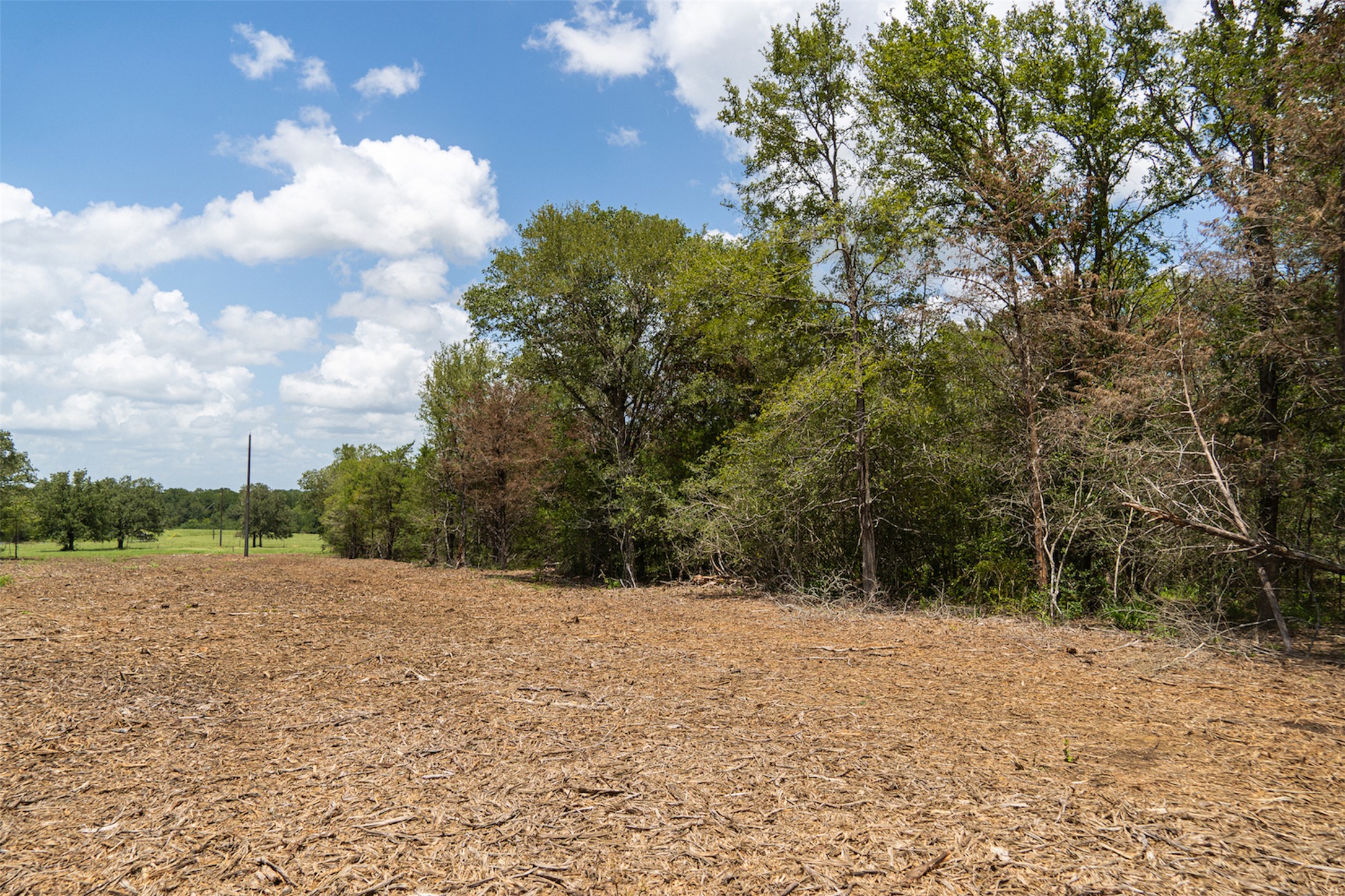 Tbd Tbd Street Paige, TX 78659 - Photo 10 of 12 a view of road and trees