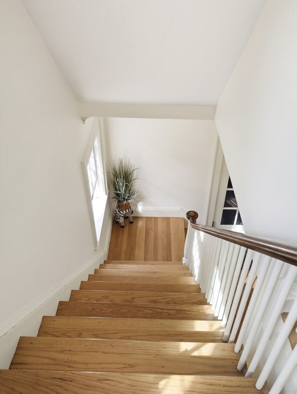 22 Ivy Road Belmont, MA 02478 - Photo 15 of 41 Gallery Image 15