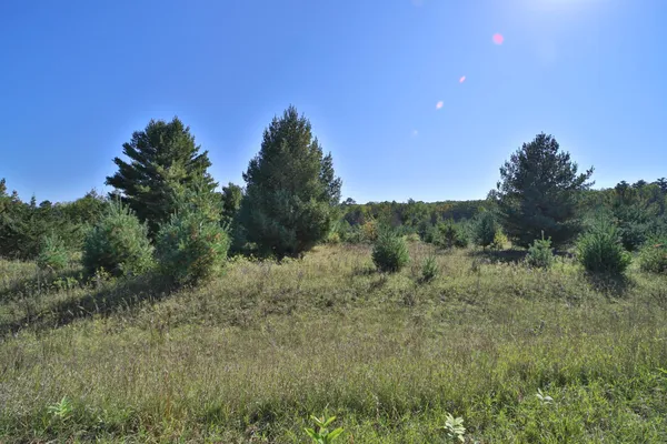 $17,900 | Tbd Partridge Court, Browerville, MN 56438