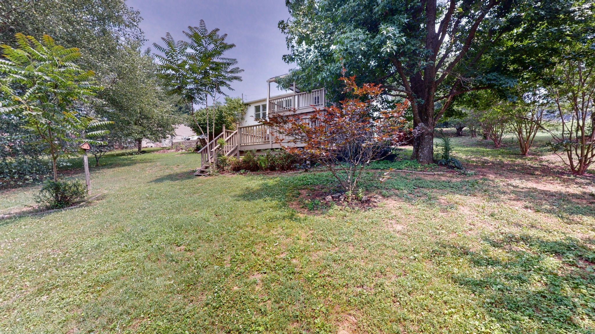 5023 Benders Ferry Road Mount Juliet, TN 37122 - Photo 50 of 62 a view of a yard with large trees