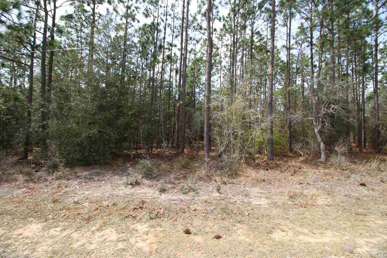 10-ac Deception Road Milton, FL 32583 - Photo 8 of 8 Gallery Image 8