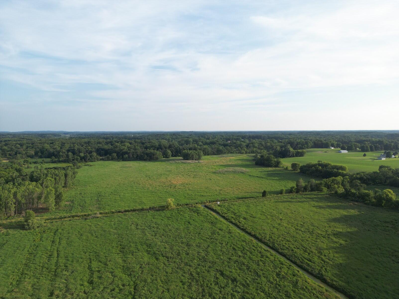 0 Green Road Stockbridge, MI 49285 - Photo 4 of 7 IMG_0232