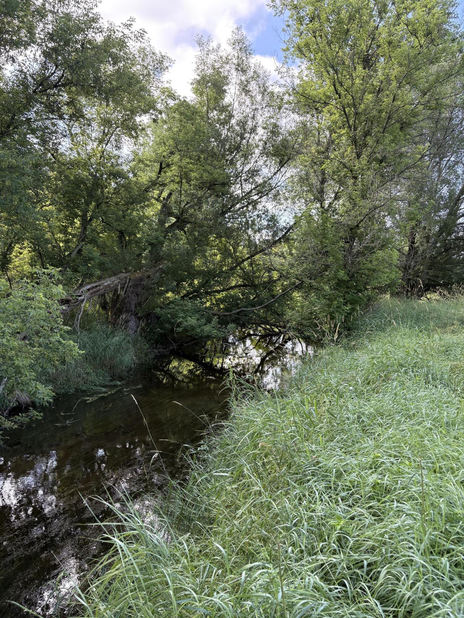 0 Green Road Stockbridge, MI 49285 - Photo 5 of 7 IMG_4981