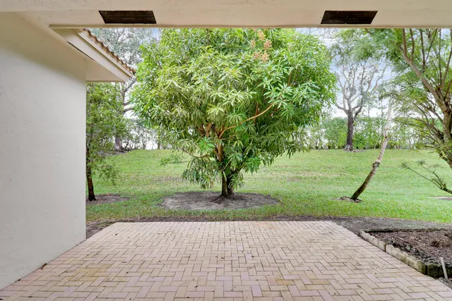 a view of a garden with a tree