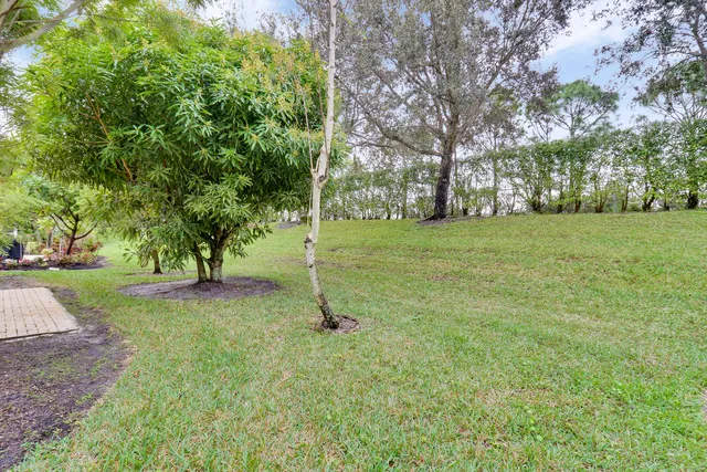 a backyard of a house with lots of green space
