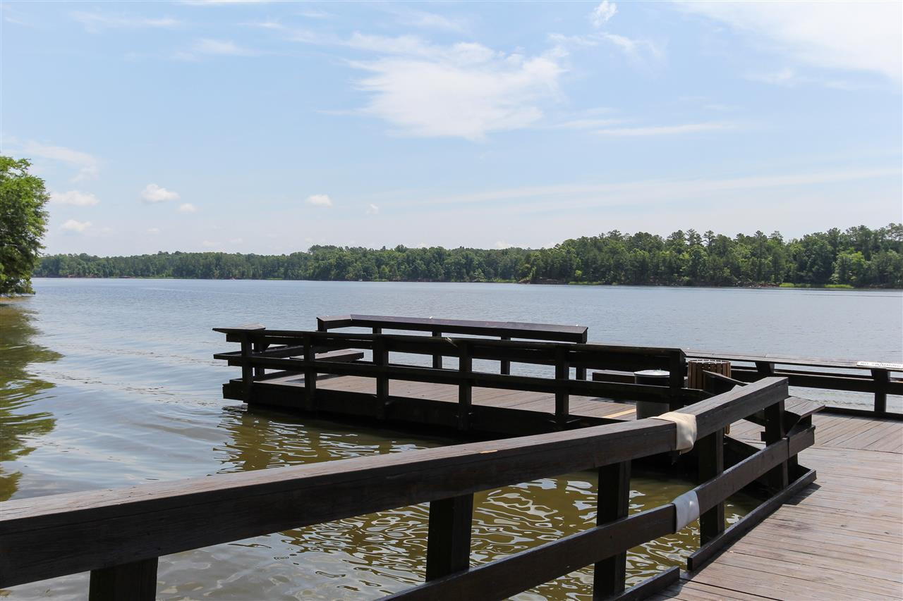 401 Morgan Ridge Road, Unit 41 Holly Springs, NC 27540 - Photo 3 of 6 Harris Lake