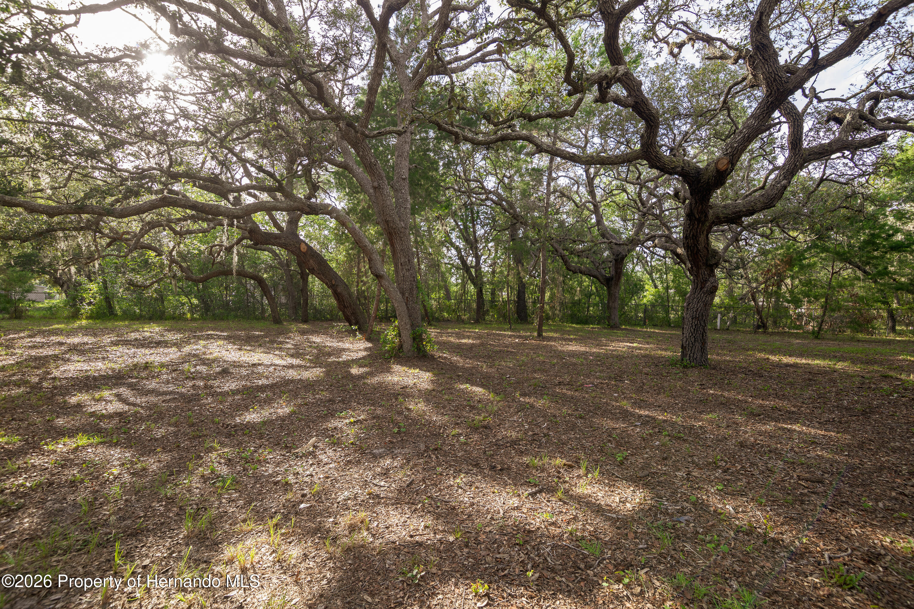 3325 Keye Drive Spring Hill, FL 34606 - Photo 5 of 29