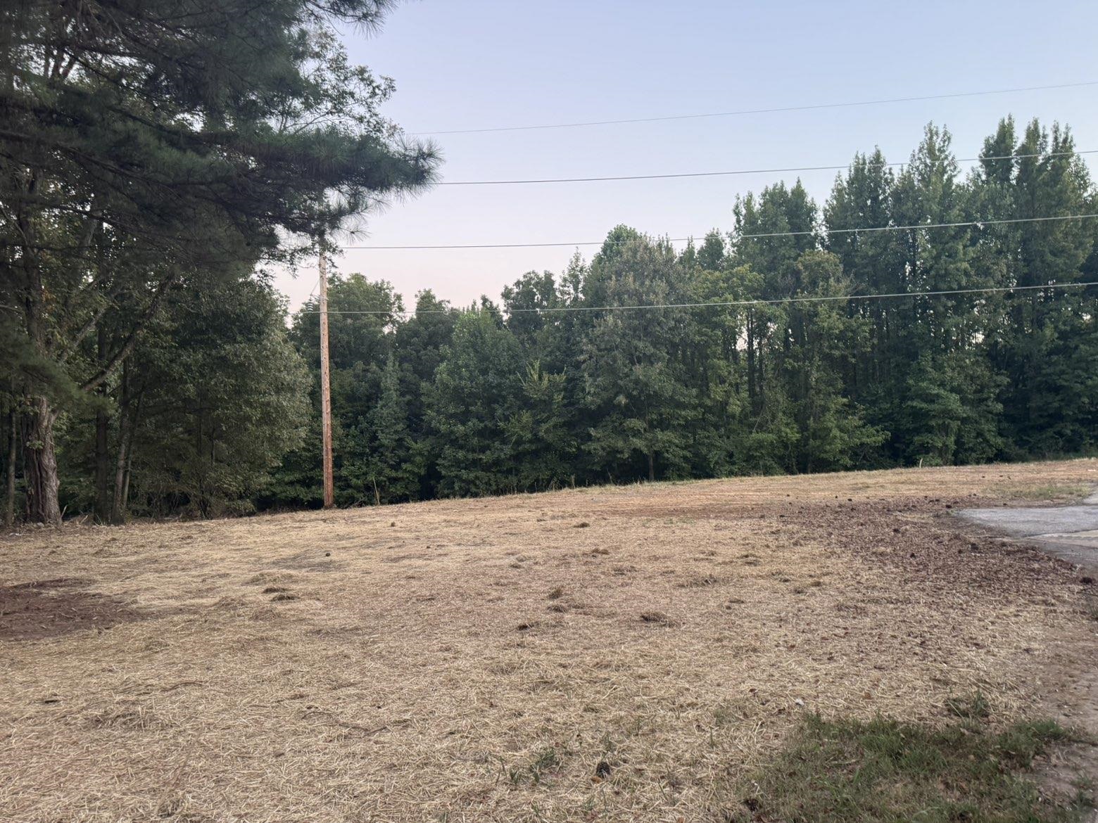 3540 Portersville Road Atoka, TN 38004 - Photo 36 of 37 Expansive land parcel featuring mature trees, a utility pole, and power lines