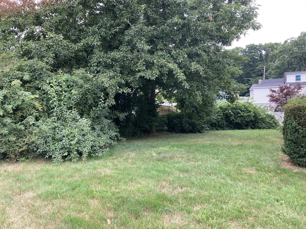 33 Reed Street Randolph, MA 02368 - Photo 27 of 29 Gallery Image 27