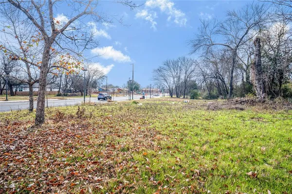 a view of a yard with a tree