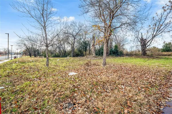 a view of yard with tree