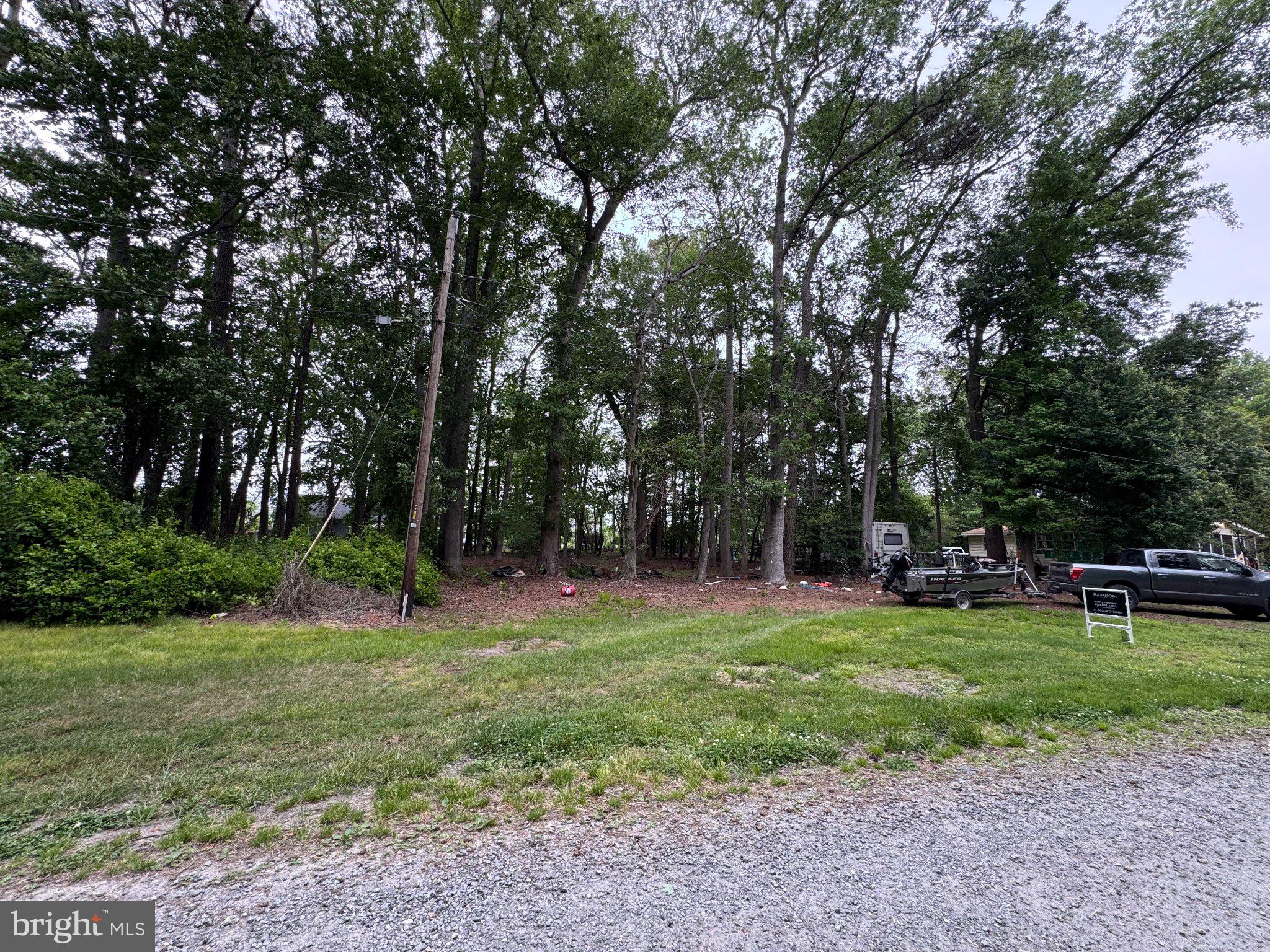 36129 New Marydels Road Frankford, DE 19945 - Photo 4 of 11 Serene wooded retreat awaits discovery.