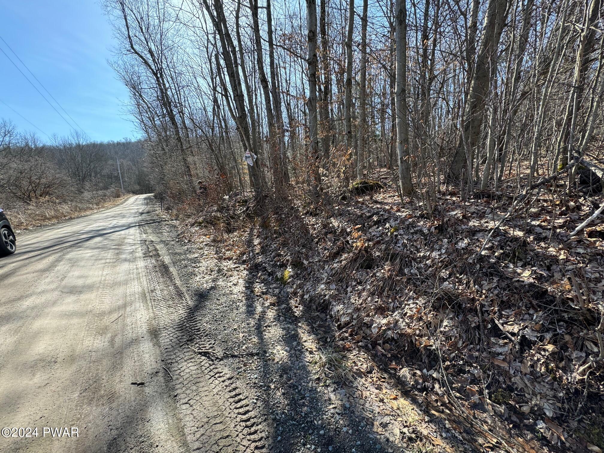 546 Scott Center Road Starrucca, PA 18462 - Photo 6 of 16 FAIGEL ROAD