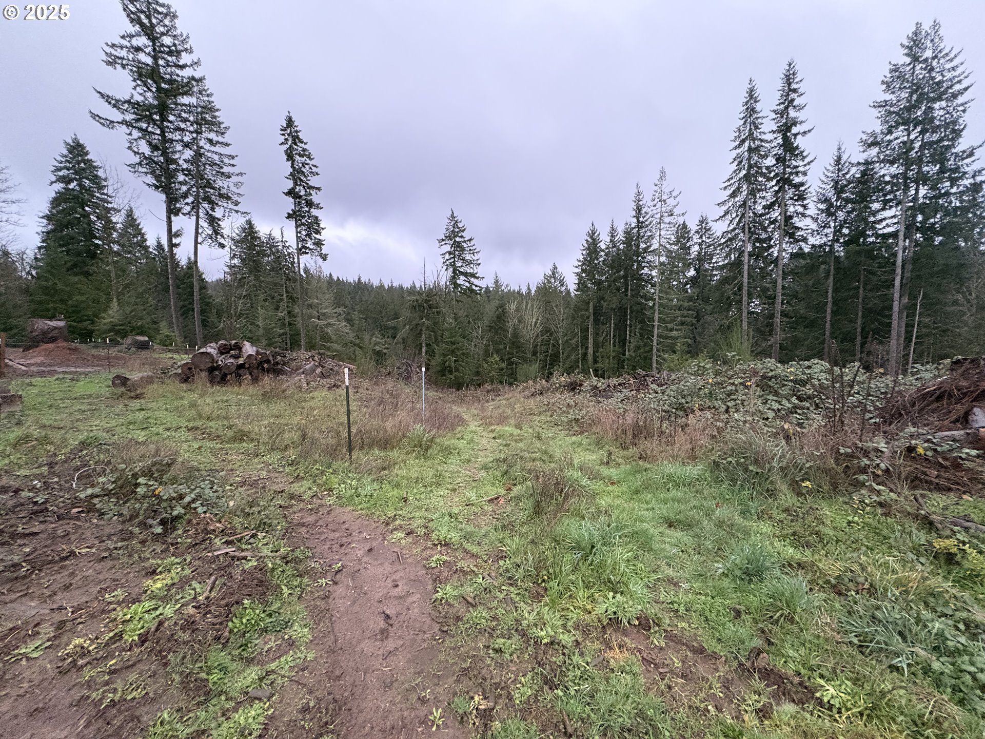 23320 Southeast Firwood Road Sandy, OR 97055 - Photo 8 of 39