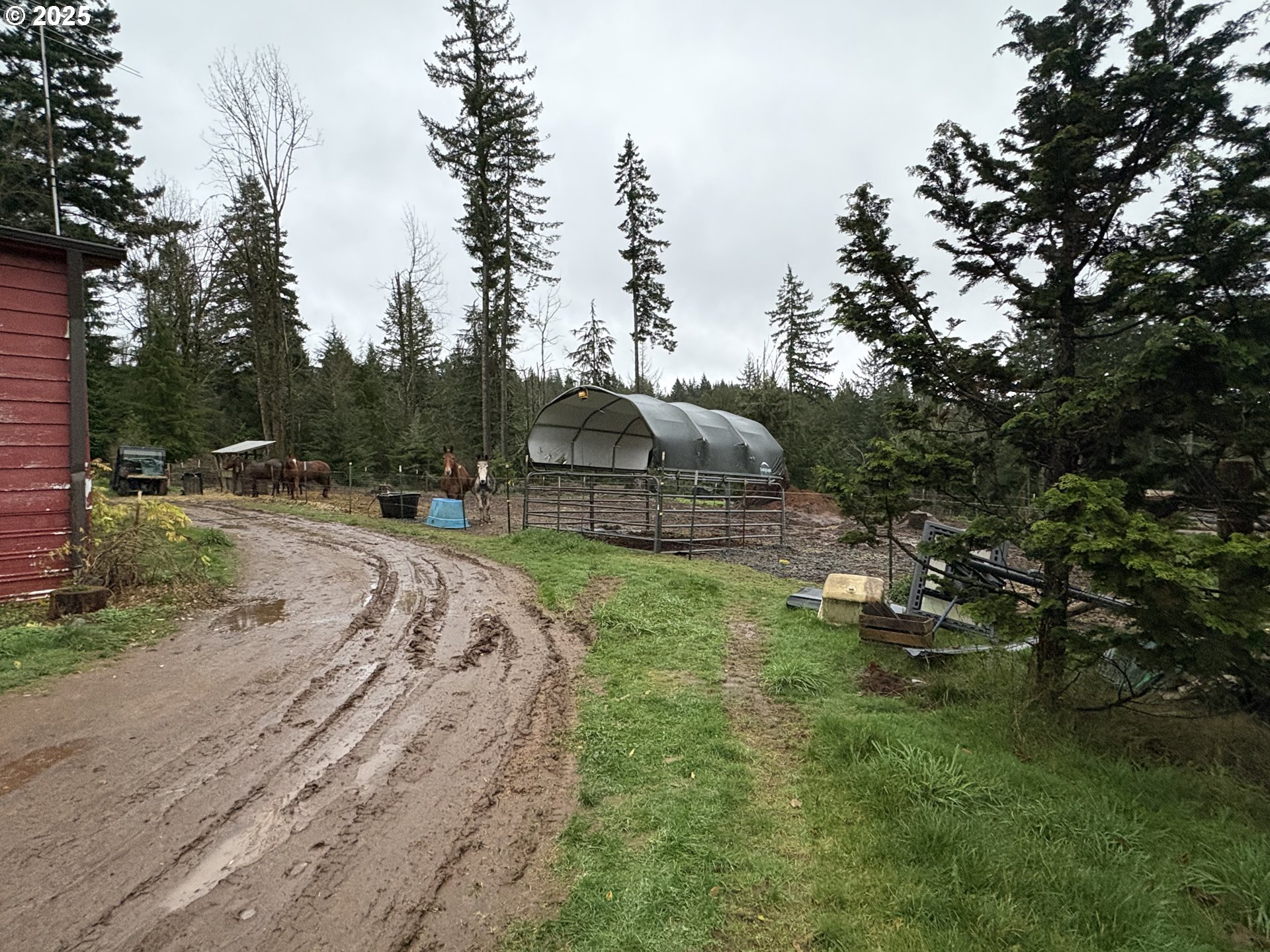 23320 Southeast Firwood Road Sandy, OR 97055 - Photo 9 of 39 Yard