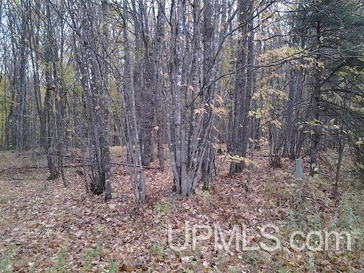 Tbd Whitefish Road Chatham, MI 49816 - Photo 18 of 30