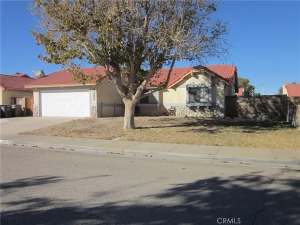 a large tree in front of a house