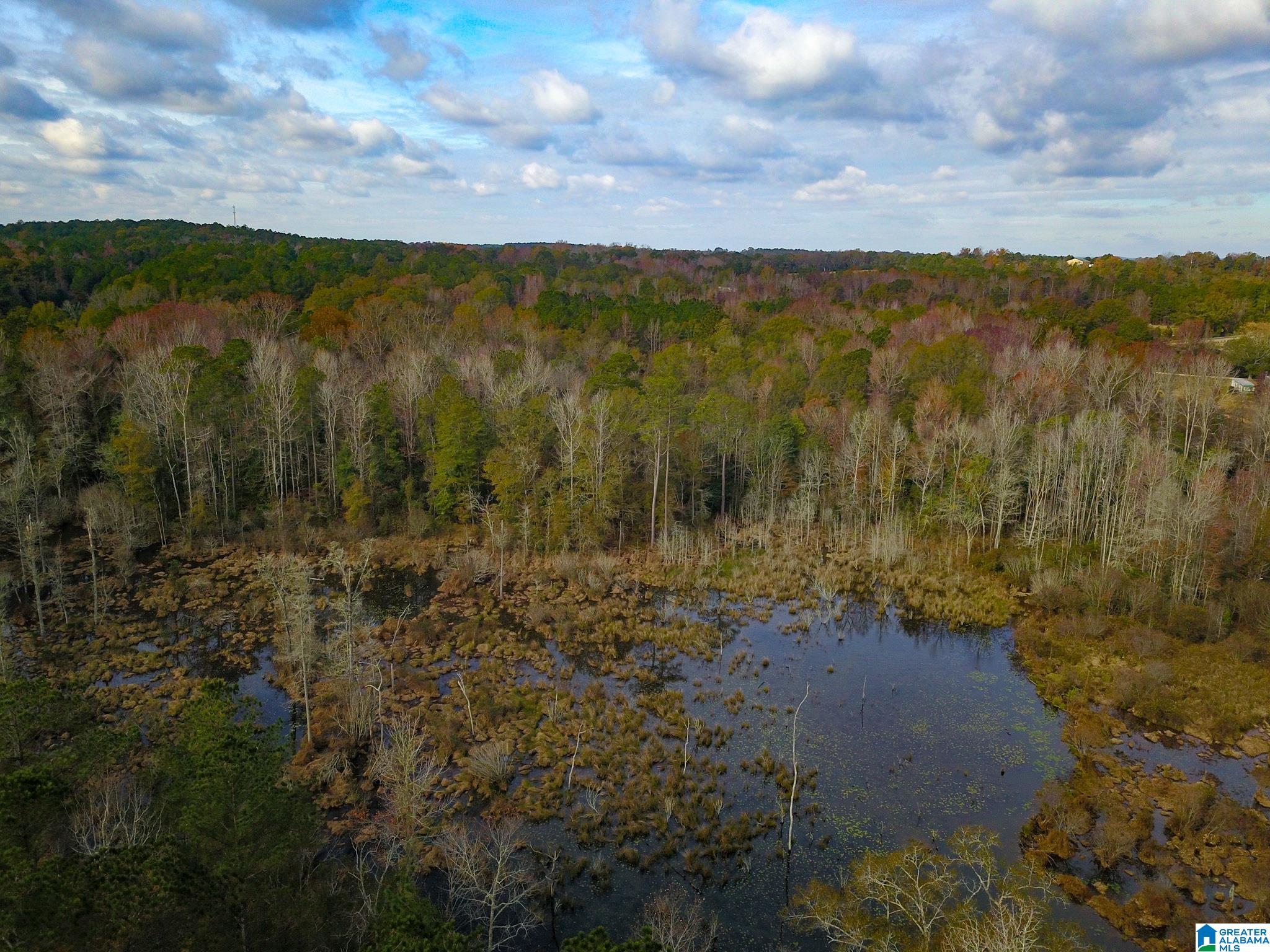 0 Midway Road Tuskegee, AL 36083 - Photo 21 of 30