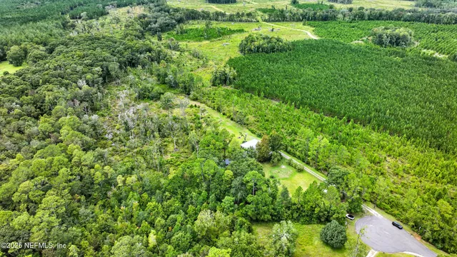 a close up of a lush green forest with houses