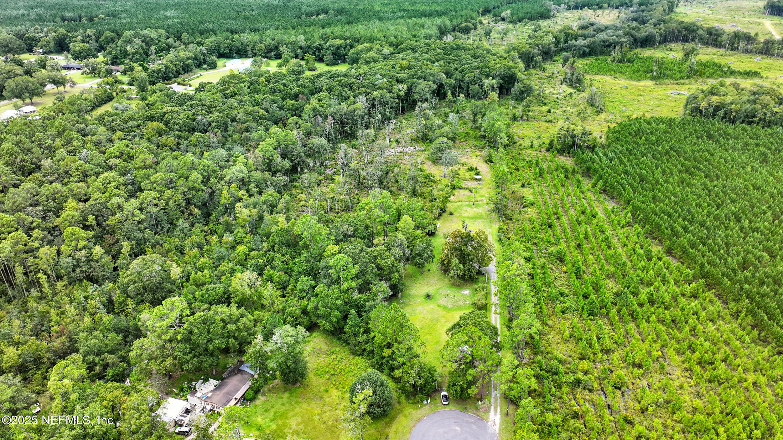 44586 Maplewood Court Callahan, FL 32011 - Photo 19 of 20 a view of a lush green forest