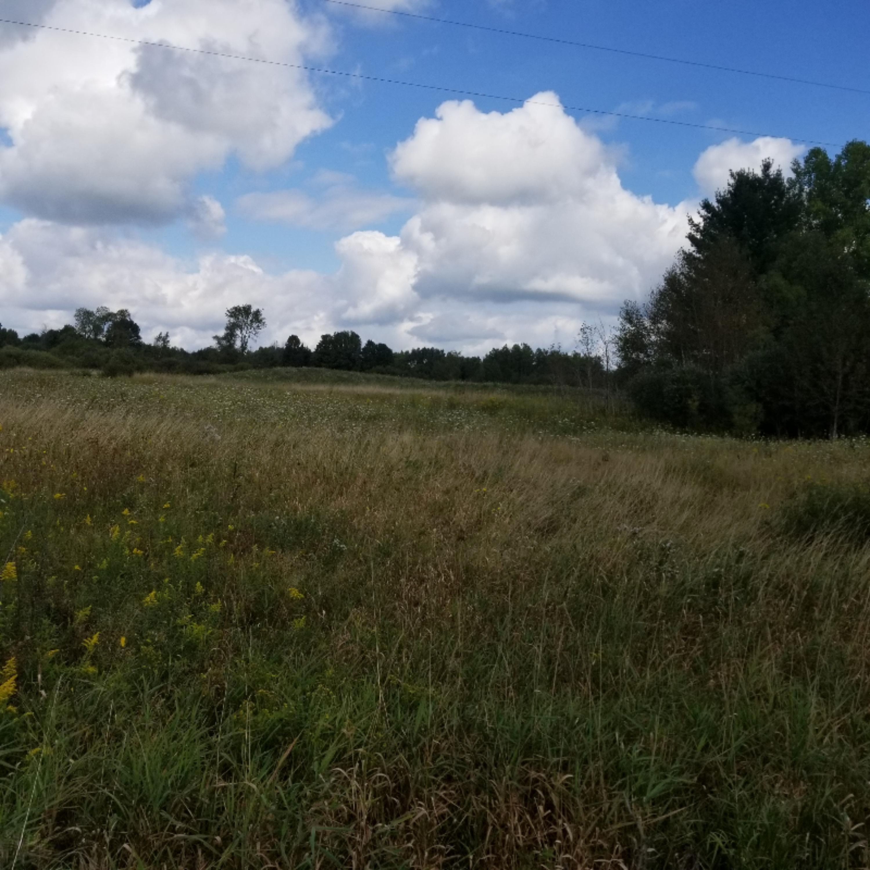 4 4 Mile Road Lake, MI 48632 - Photo 1 of 2 20190916_135315
