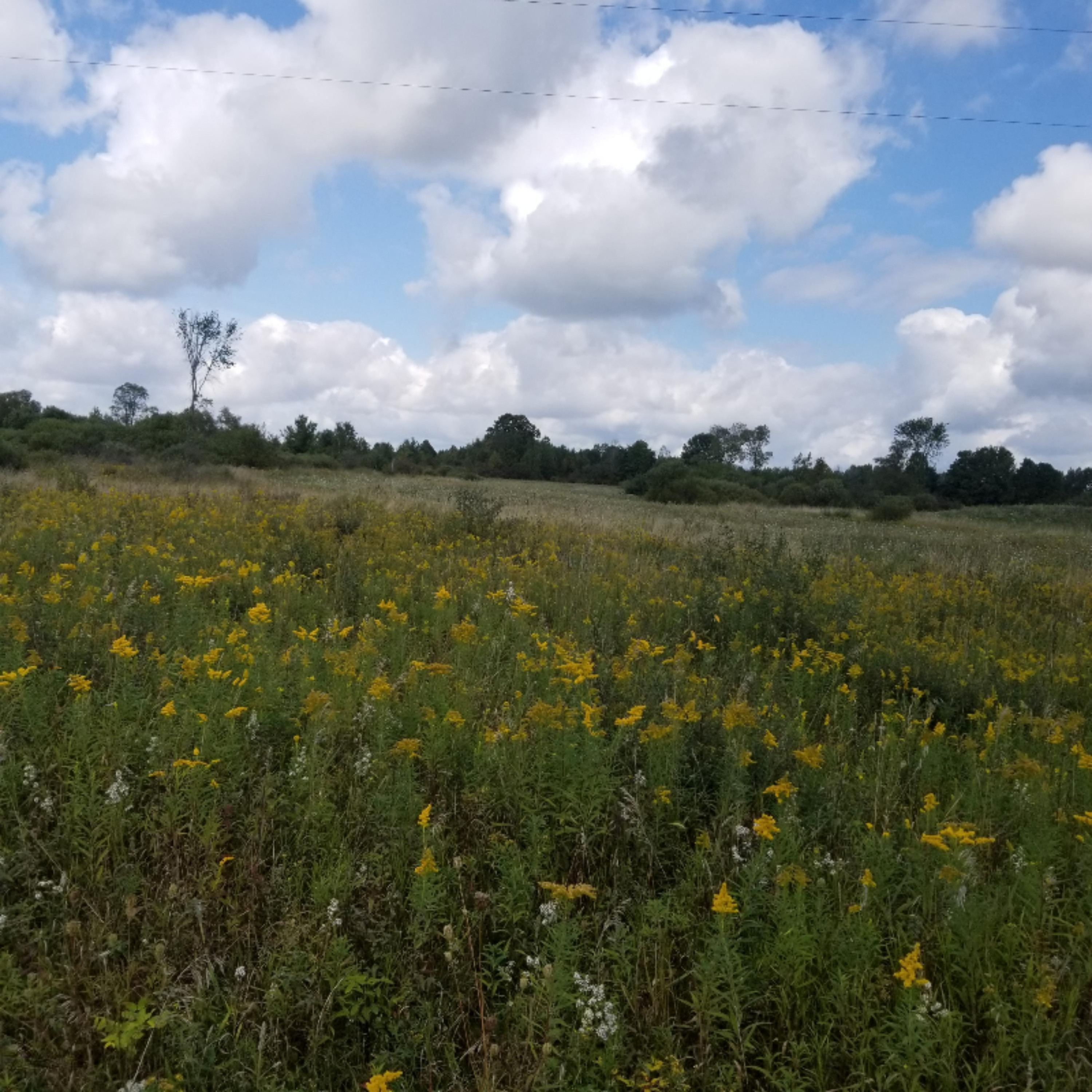 4 4 Mile Road Lake, MI 48632 - Photo 2 of 2 20190916_135247
