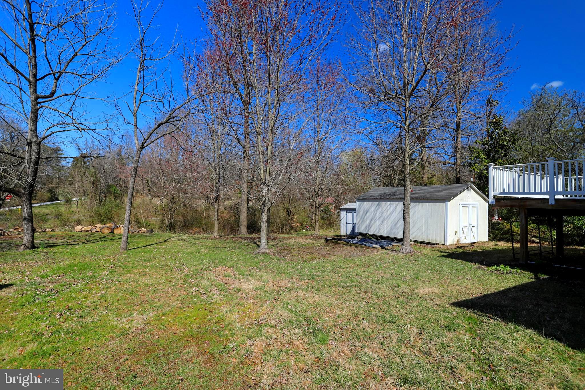 1662 Cape May Road Baltimore, MD 21221 - Photo 26 of 37 Large Back yard with shed