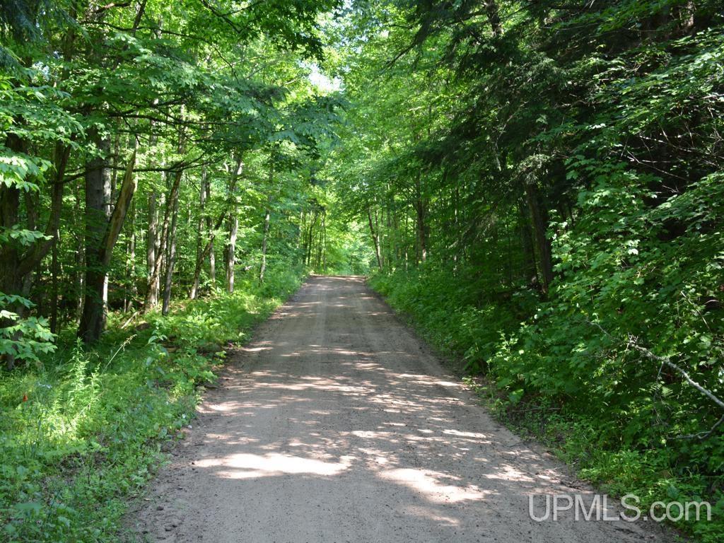 0 Peter White Road Au Train, MI 49806 - Photo 8 of 12