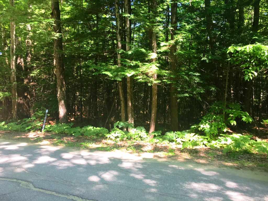 Boston Hill Road Andover, NH 03216 - Photo 4 of 12 Gallery Image 4