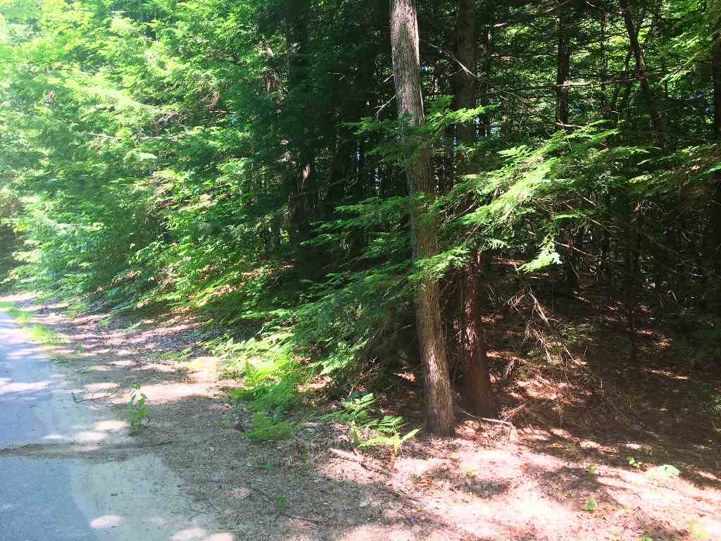 Boston Hill Road Andover, NH 03216 - Photo 6 of 12 Gallery Image 6