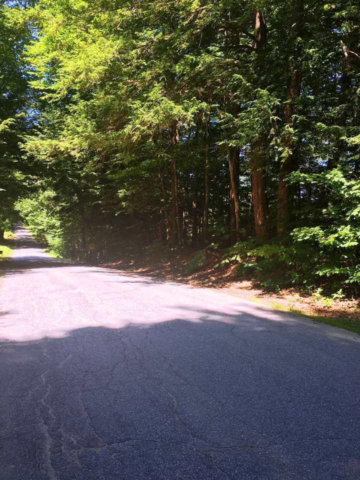Boston Hill Road Andover, NH 03216 - Photo 7 of 12 Gallery Image 7
