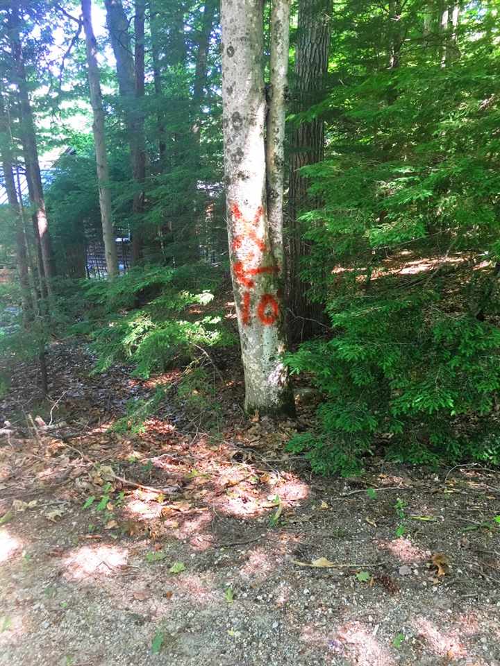 Boston Hill Road Andover, NH 03216 - Photo 8 of 12 Gallery Image 8