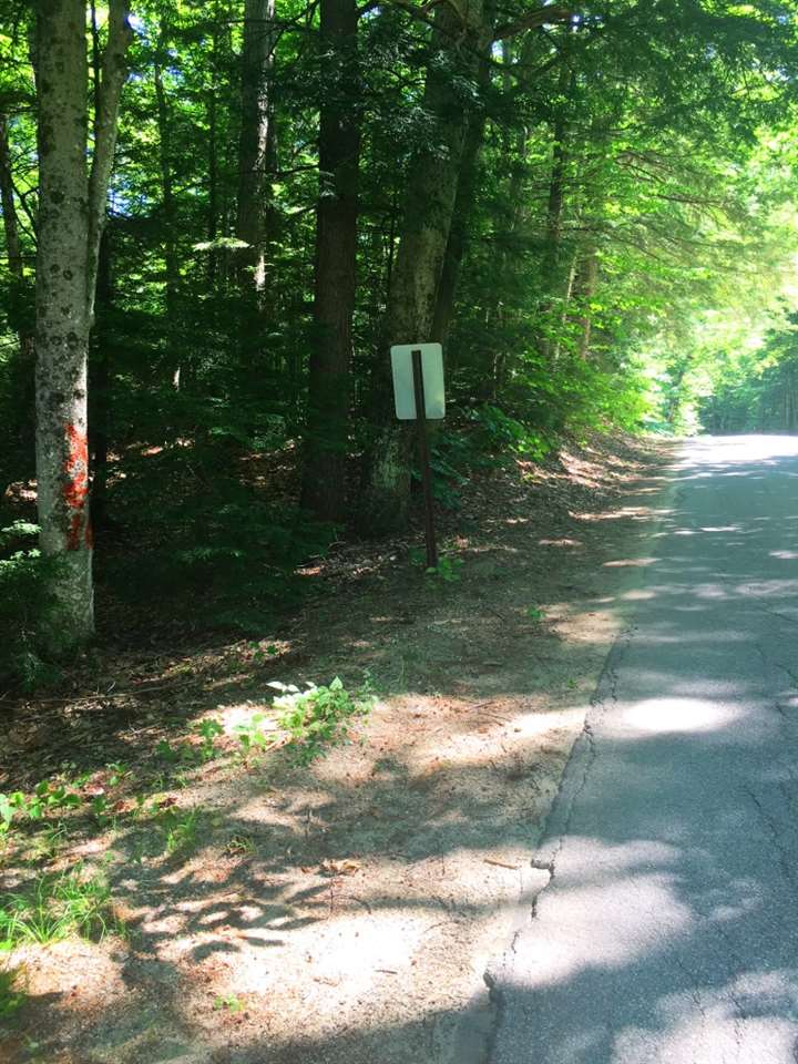 Boston Hill Road Andover, NH 03216 - Photo 10 of 12 Gallery Image 10