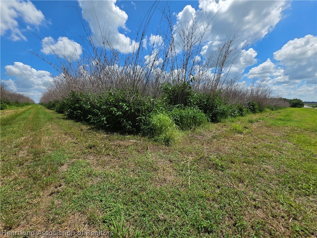 0 West St Road Wauchula, FL 33873 - Photo 14 of 24