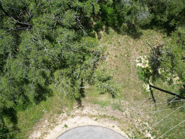 a view of a yard